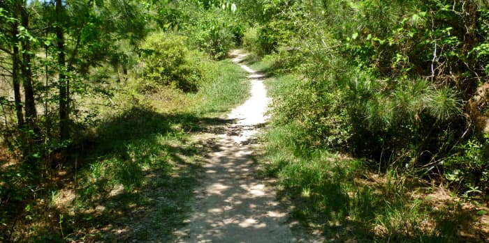 Cypress Area Featured Park: Little Cypress Creek Preserve