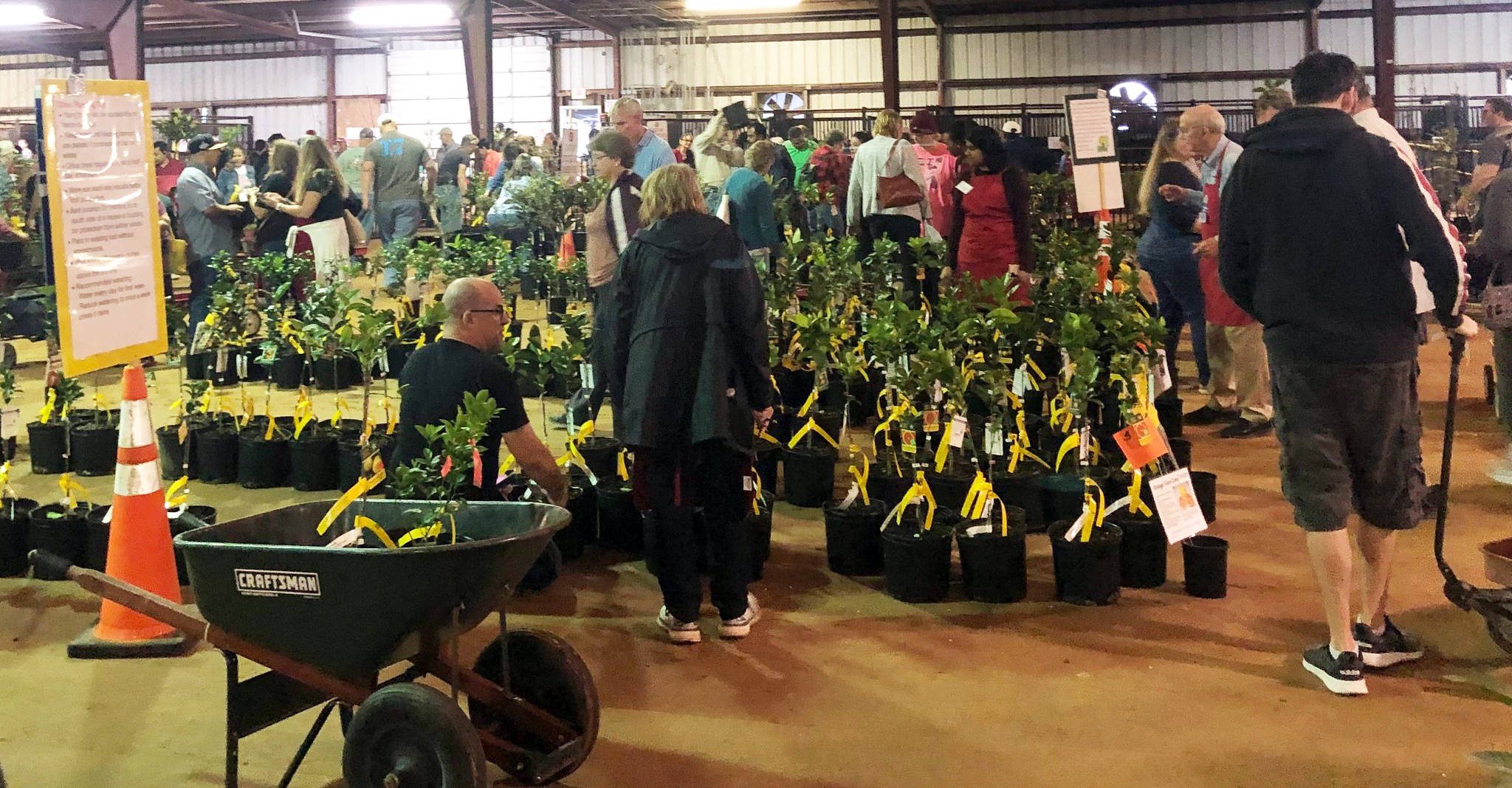Fort Bend County Master Gardeners Host 25th Annual Fruit Tree Sale: A Community Favorite Returns