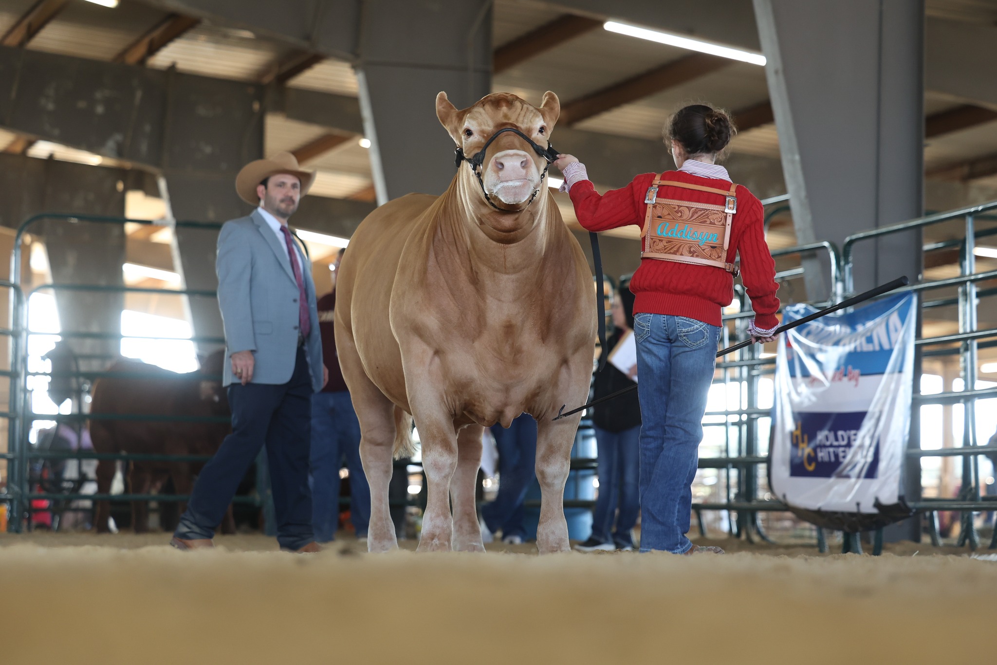 Harris County Fair & Rodeo Seeking Volunteers to Support Local Youth