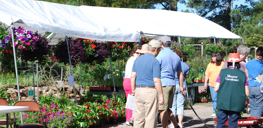 Harris County Master Gardeners Host Fall Plant Sales to Promote Native Plants and Sustainable Gardening