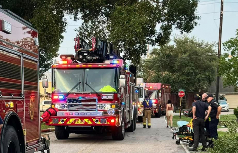 Overhanging Tree Growth in Lakes on Eldridge Could Delay 911 Help—Here’s What Residents Need to Know