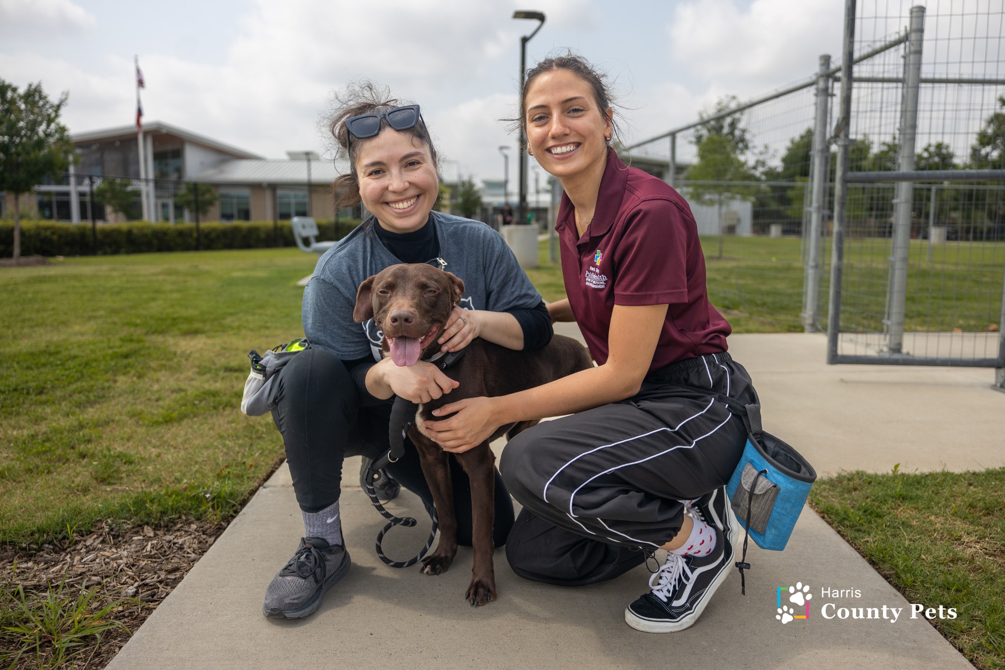 Harris County Pets Launches Name Your Adoption Fee Initiative for June