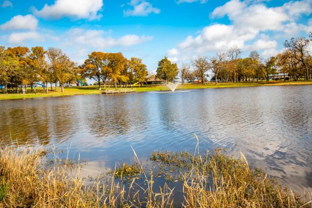 Featured Local Park: Jones Creek Ranch Park in Richmond