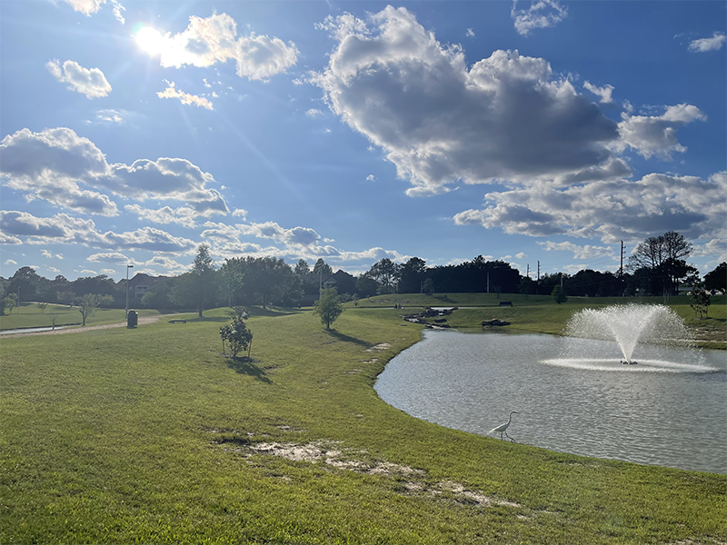 Featured Local Park: Easton Commons Nature Park