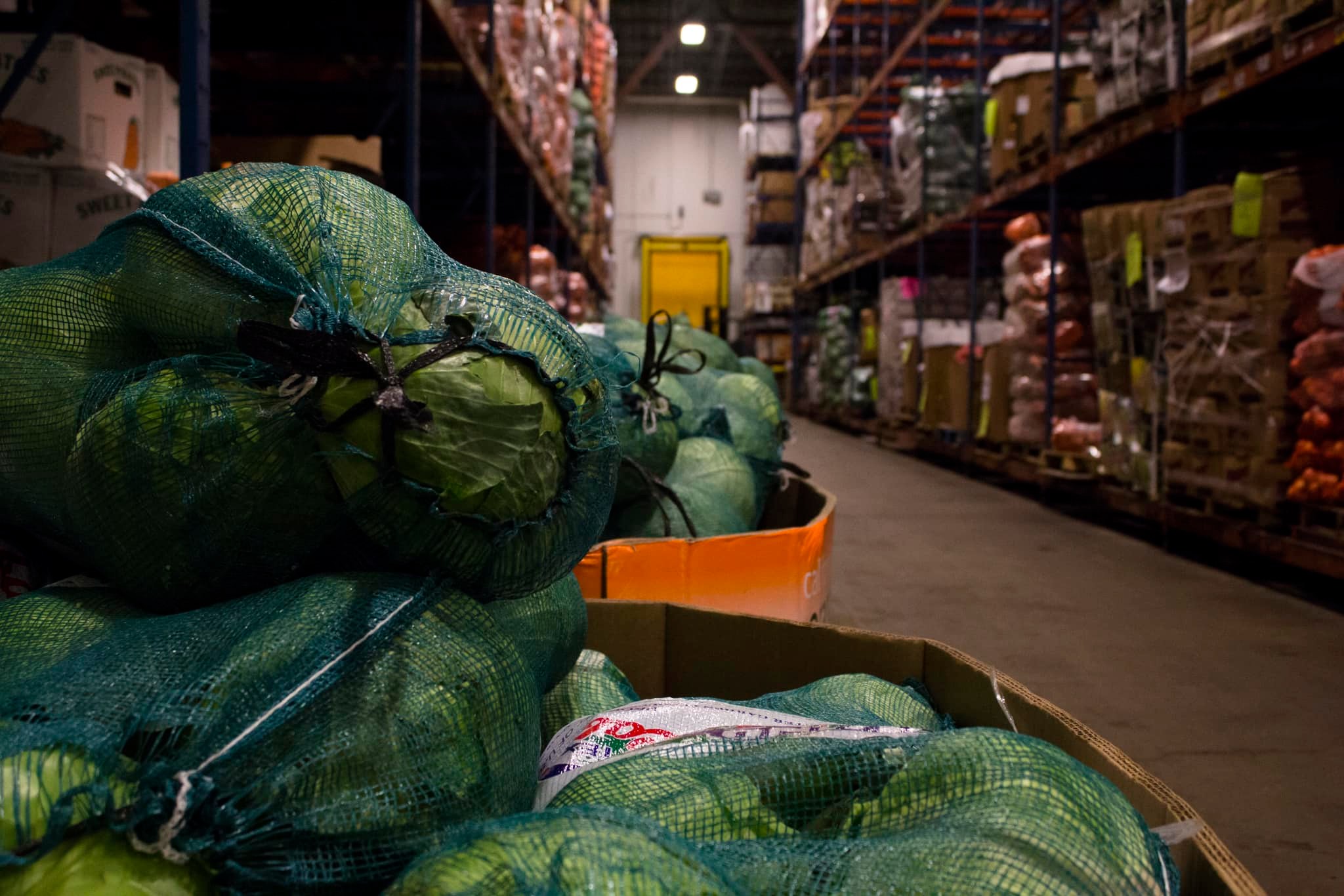 $750K Grant Boosts Houston Food Bank’s Food Rescue Efforts Across 18 Southeast Texas Counties