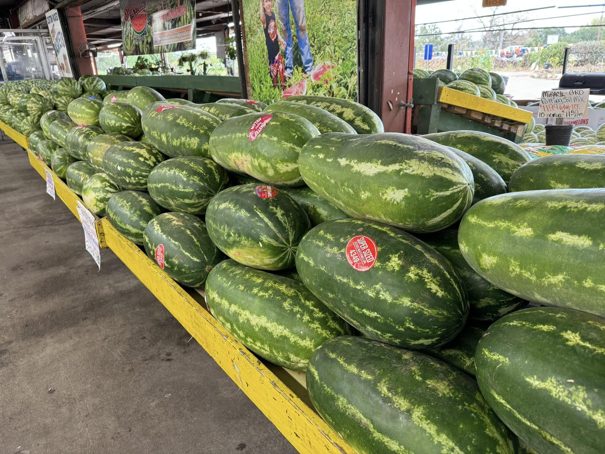 Why Houston Area Locals Are Making the Drive to DiIorio's Farmers Market in Hempstead for Their First Bite of Summer