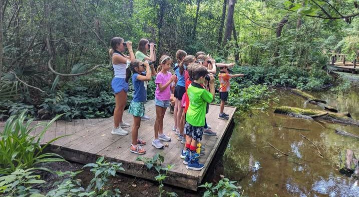 Nature Meets Creativity at Houston Audubon's Wild Art Mini Camp This July
