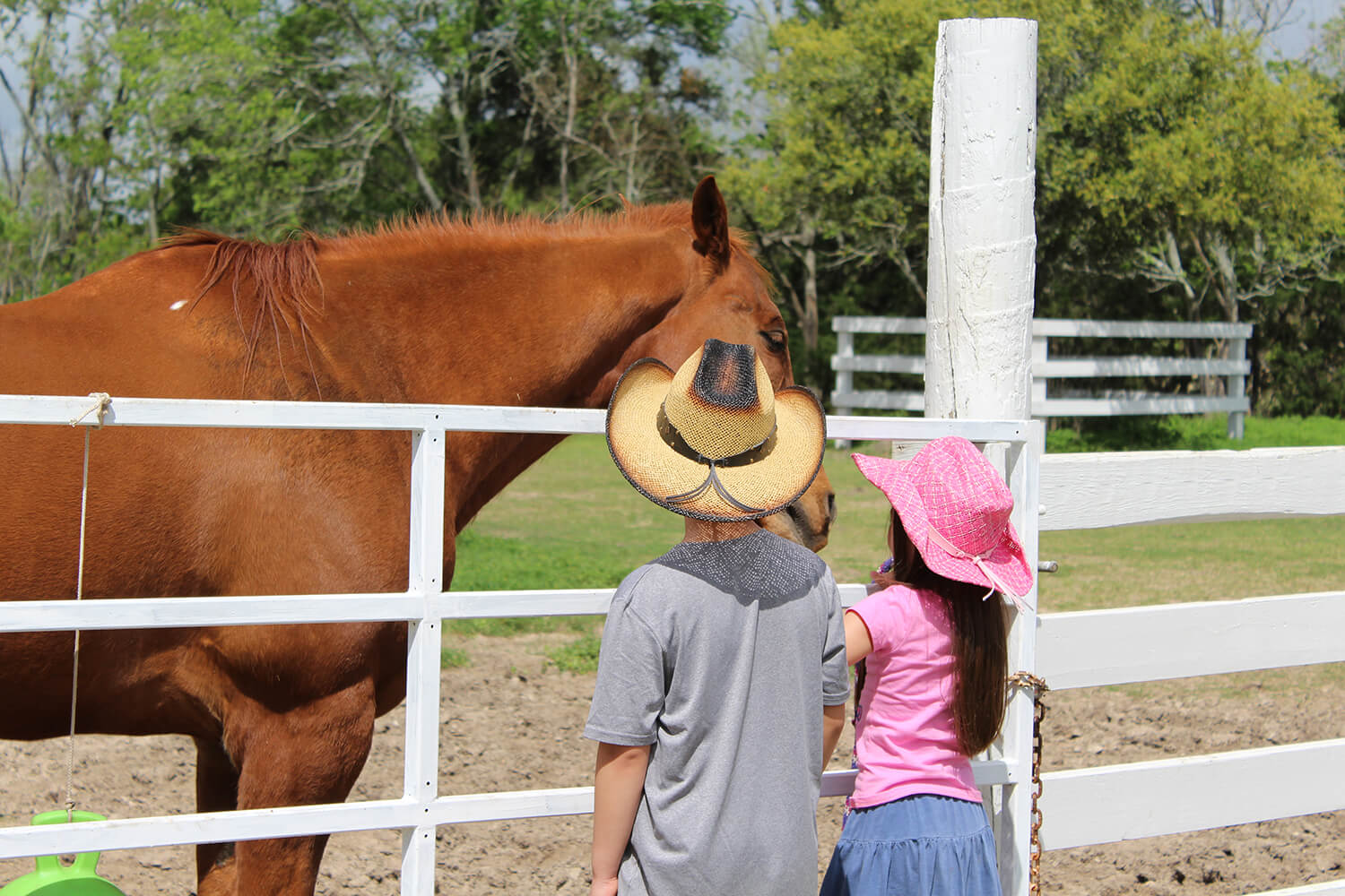 Spring Break Fun Planned at George Ranch Historical Park