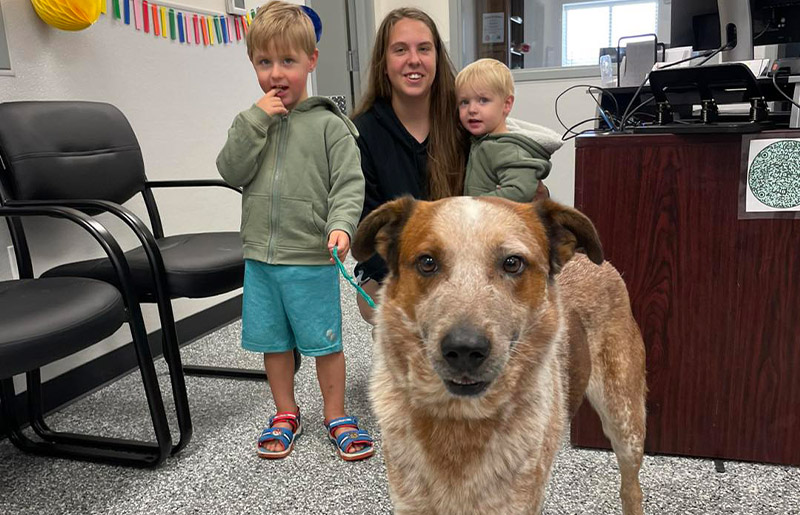 Addressing Stray Pet Overcapacity Crisis: Fort Bend County Animal Services Calls for Community Support