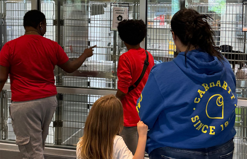Adopt a Pet in Houston for Only $5: BARC’s Purrfurred Pets Program Makes It Easy to Adopt Your New Best Friend