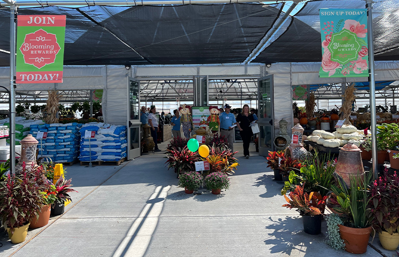 Growing Roots in Katy: Cornelius Nursery Blends Expert Gardening, Local Tradition, and Heartfelt Community Care