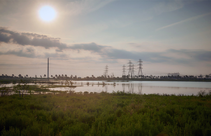 Completed Stormwater Detention Basin at John Paul Landing Park Boosts Flood Resilience and Environmental Restoration in Cypress