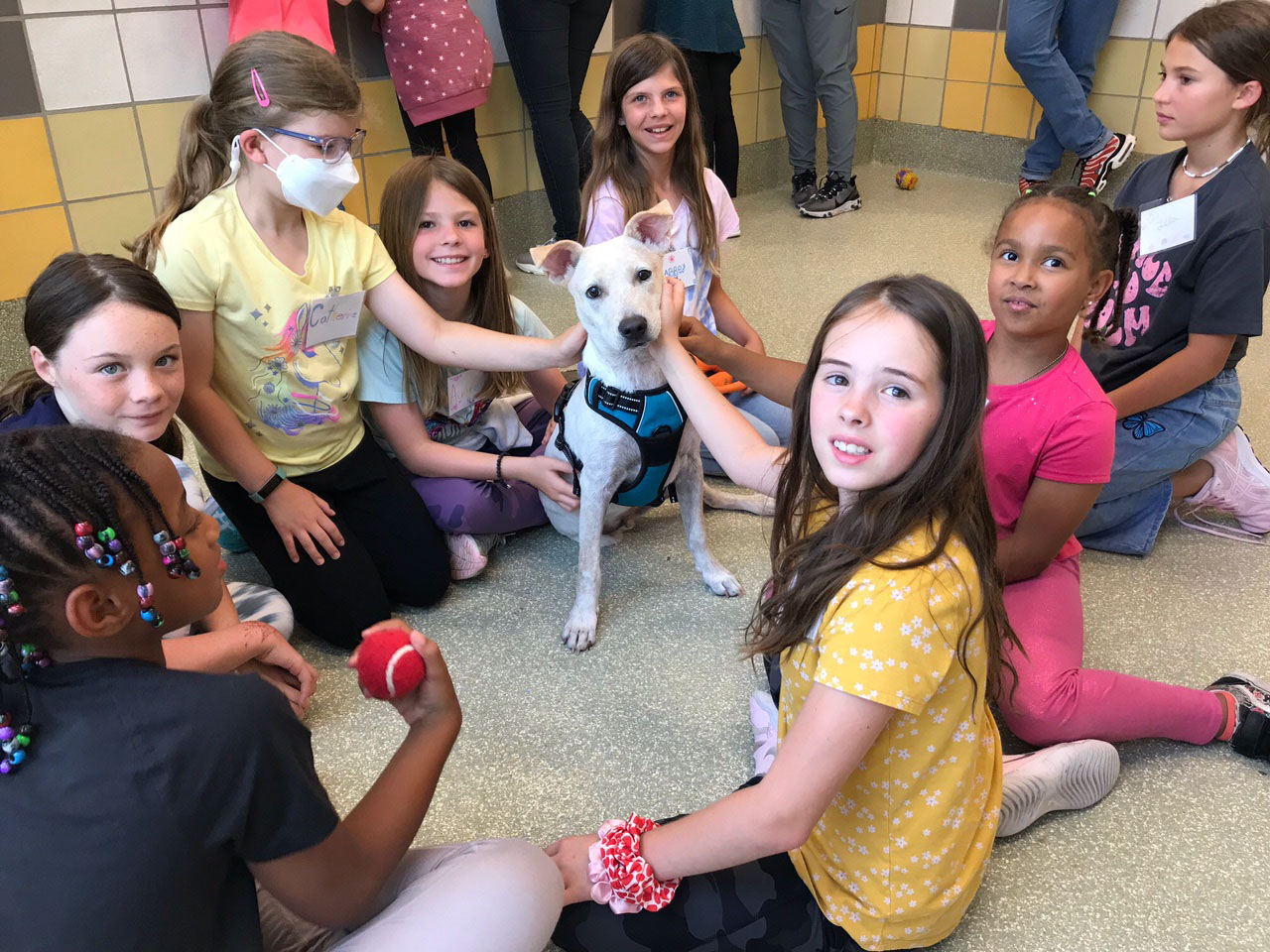 Summer Camp Scholarships Available Now for Houston-Area StudentsÂ