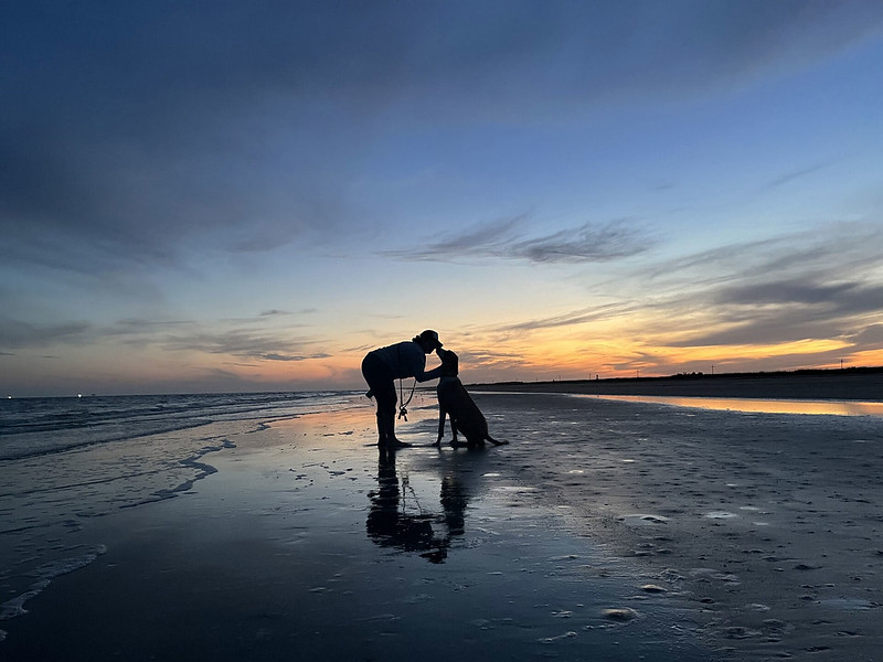 Traveling Art Exhibit Honoring 100 Years of Texas State Parks Moves to Houston