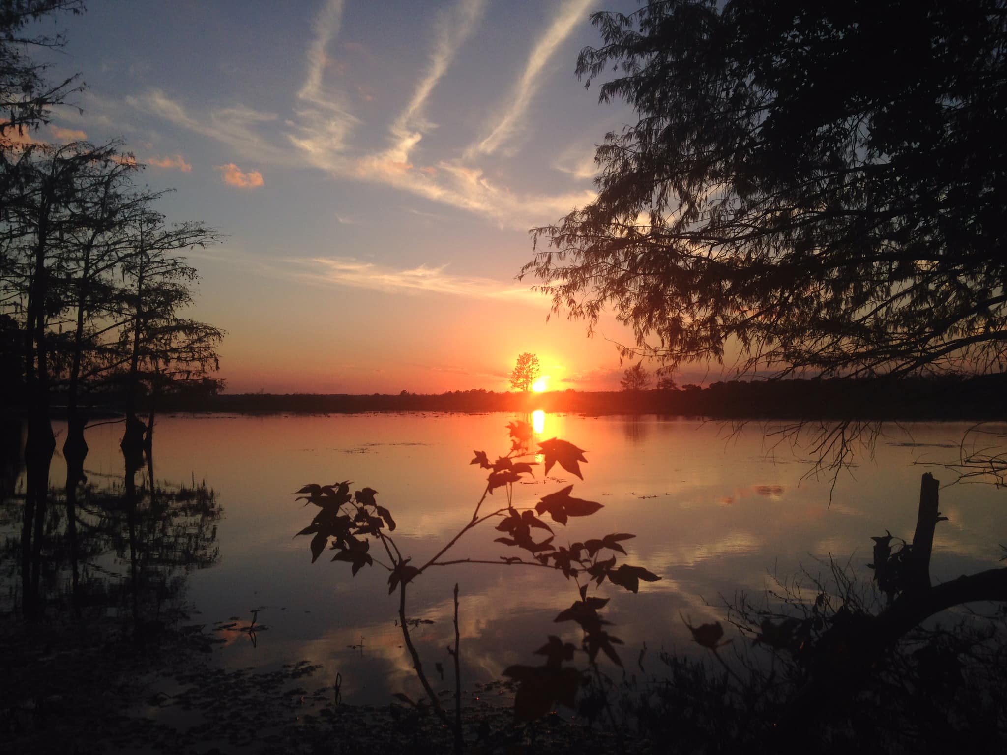 Free Admission to Texas State Parks on Nov. 5