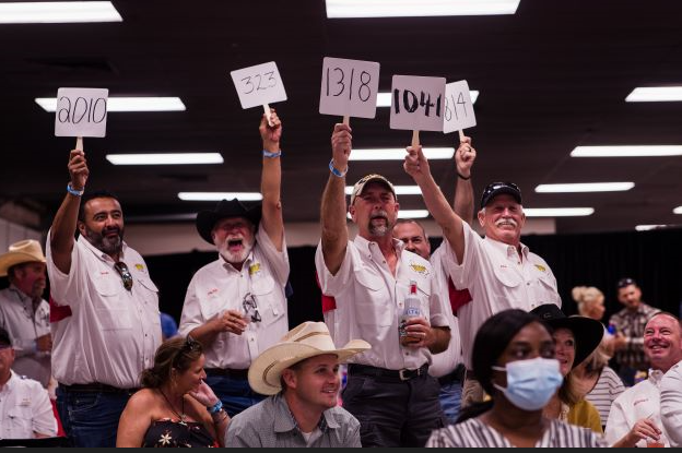 Katy ISD Art Students Earn Over $17,000  in Fort Bend County Fair Auction