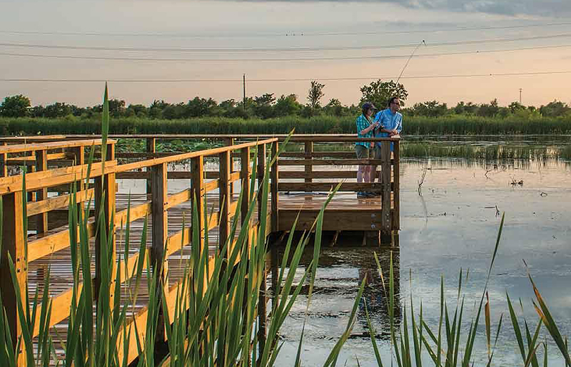 Explore Polishing Pond This Month