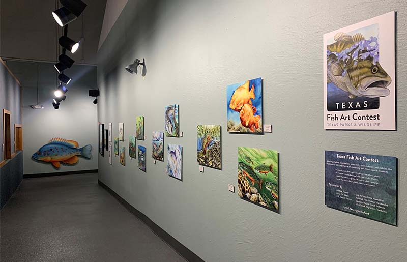 2023 Texas State-Fish Art Contest Now Open for Entries