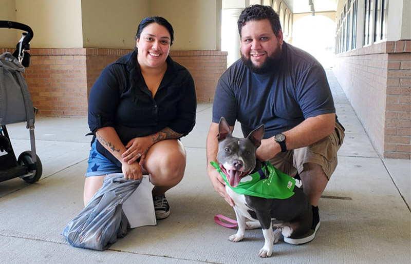 Houston BARC to Empty the Shelters; Extend Adoption Hours to 7 p.m. Every Wednesday, Thursday