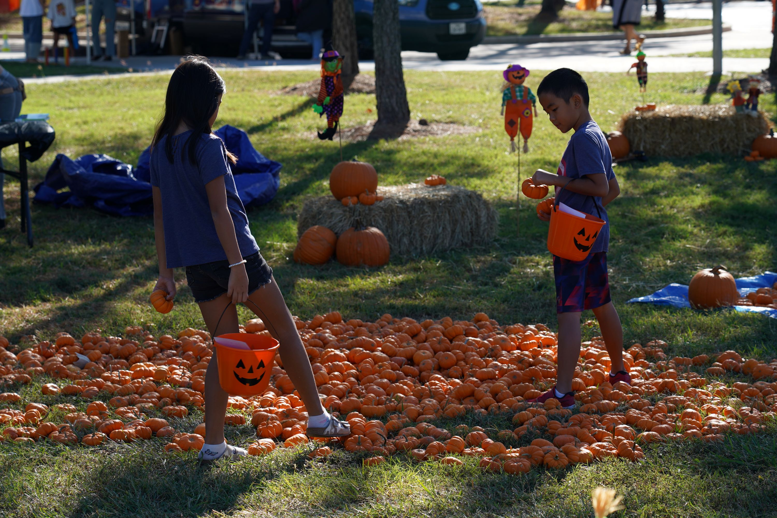 Save Oct. 7 for Cy-Fest Family Fun at LSC-CyFair