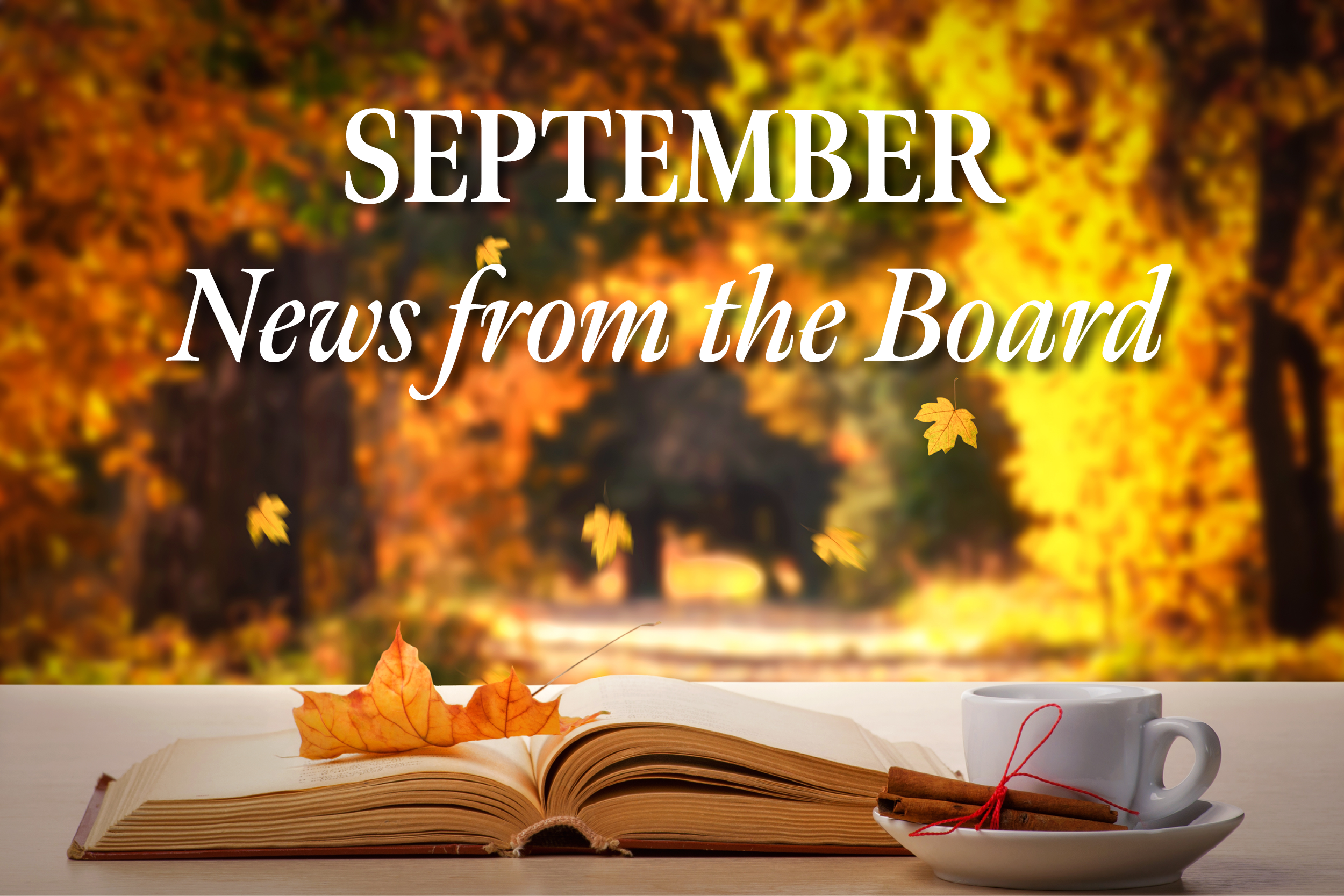 Southcreek Village News - September 2023