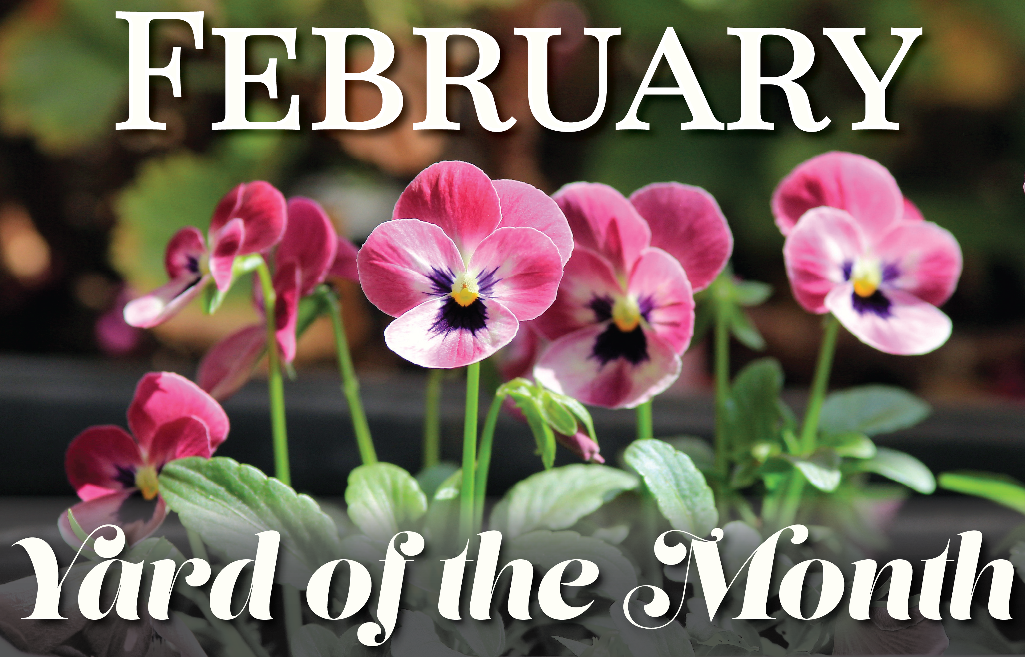 Hearthstone Garden Club Announces Yard of the Month Winner