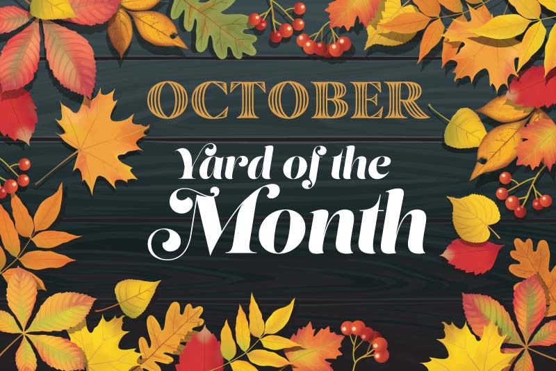 October Yard of the Month