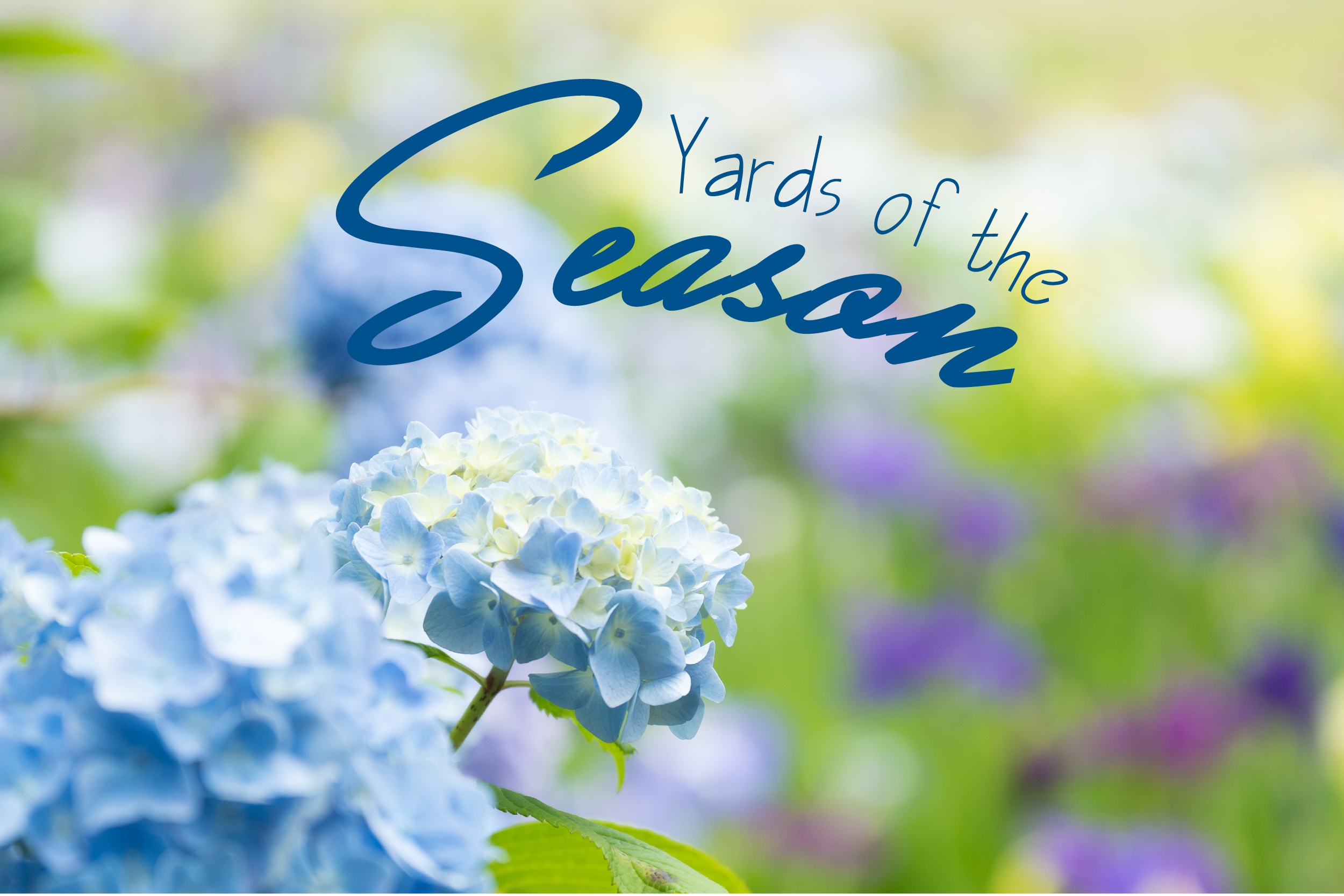 Yards of the Season in Nottingham