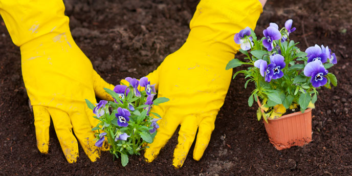 Keep Bear Creek Beautiful!