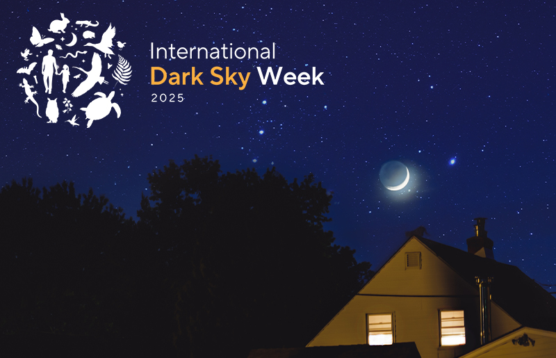 International Dark Sky Week 2025: How Houstonians Can Help Fight Light Pollution and Reclaim the Night Sky