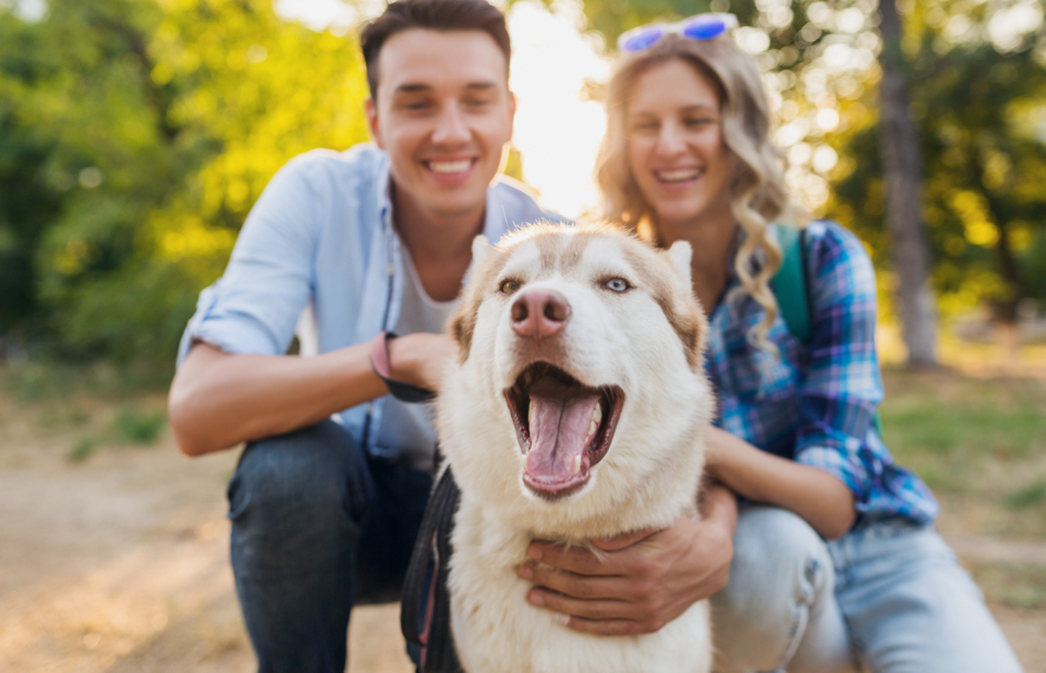 Take Your Dog To The Park