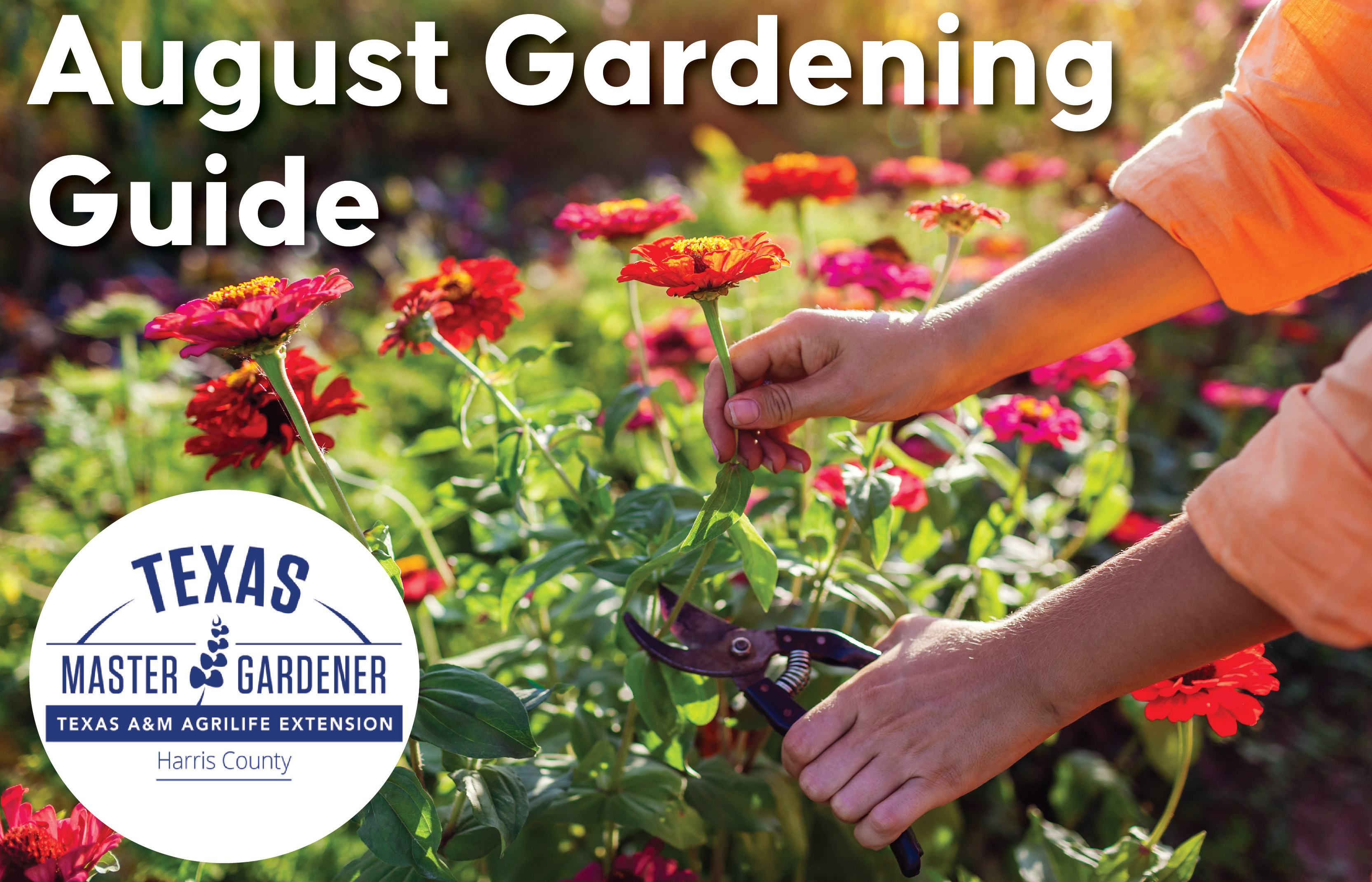 August Gardening Made Easier for Towne Lake Residents with Free Local Help from Harris County Master Gardeners