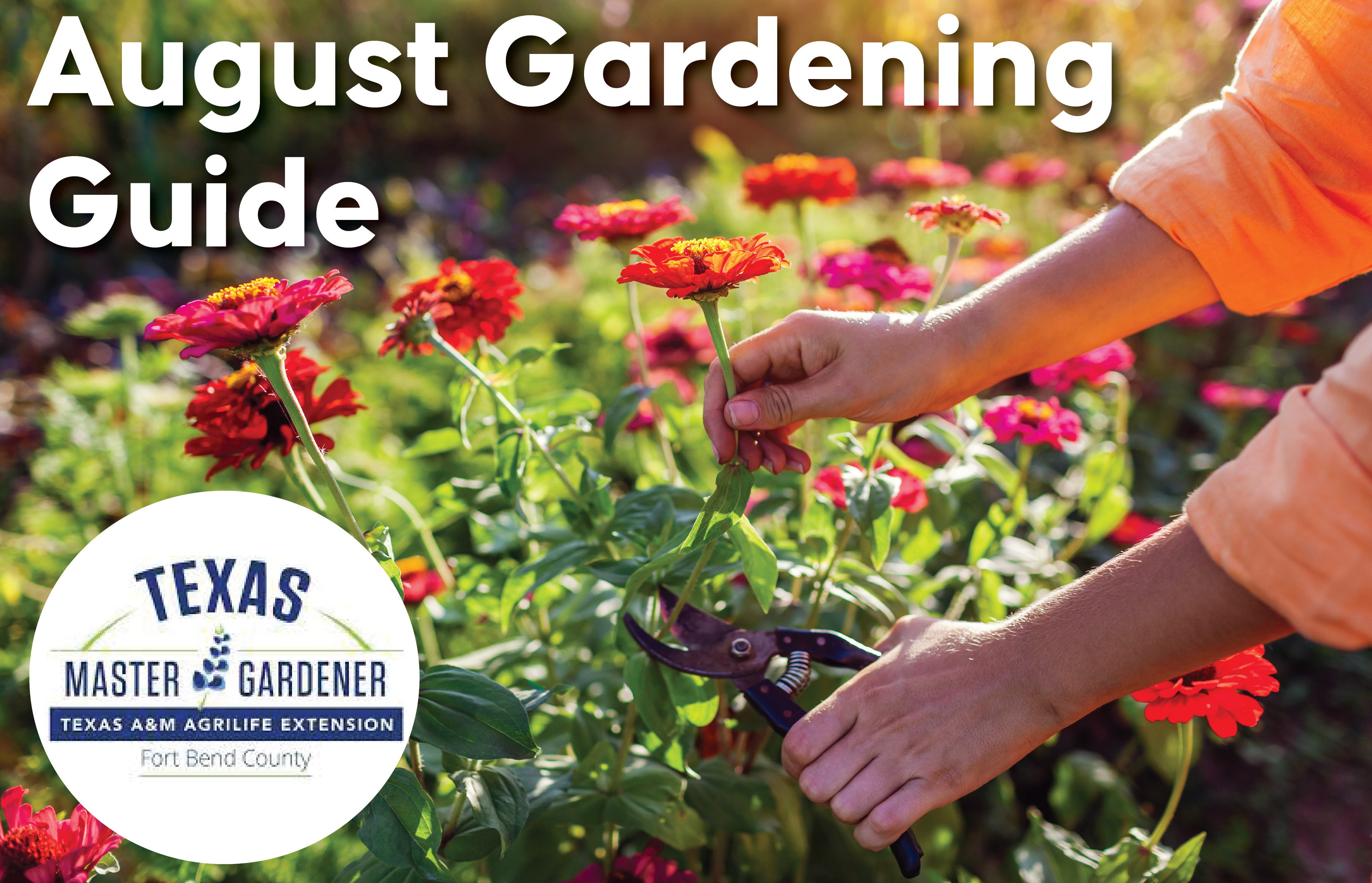 Fort Bend County Master Gardeners Shares Wealth of Gardening Tips for August