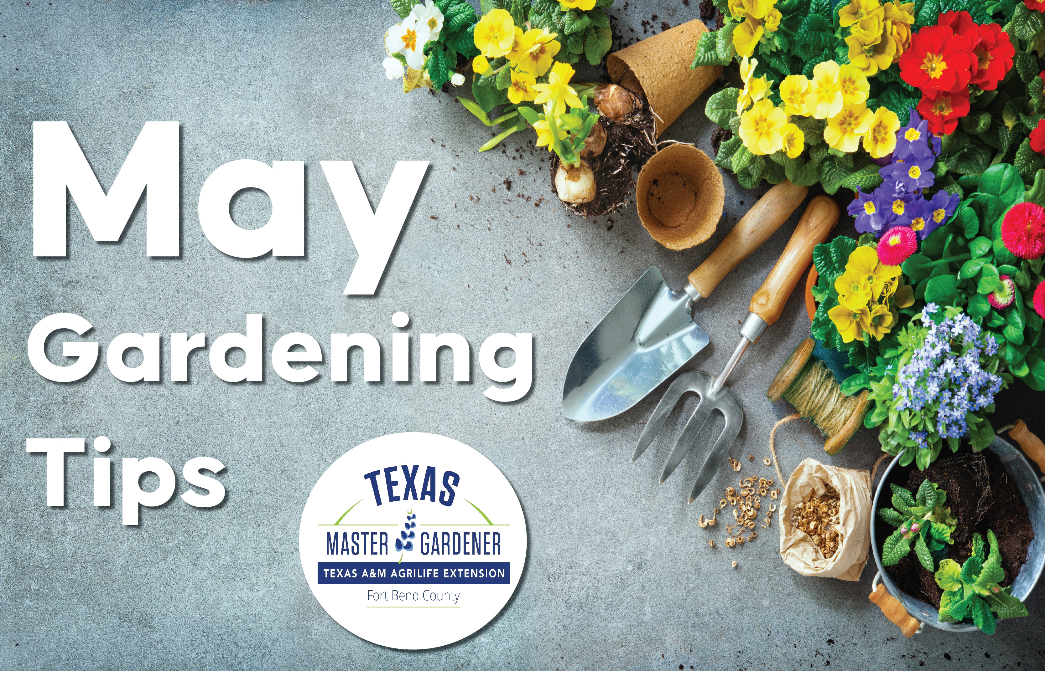 May Gardening Tips for Fort Bend County: Expert Advice for Homeowners in Katy, Fulshear, Richmond, and Beyond