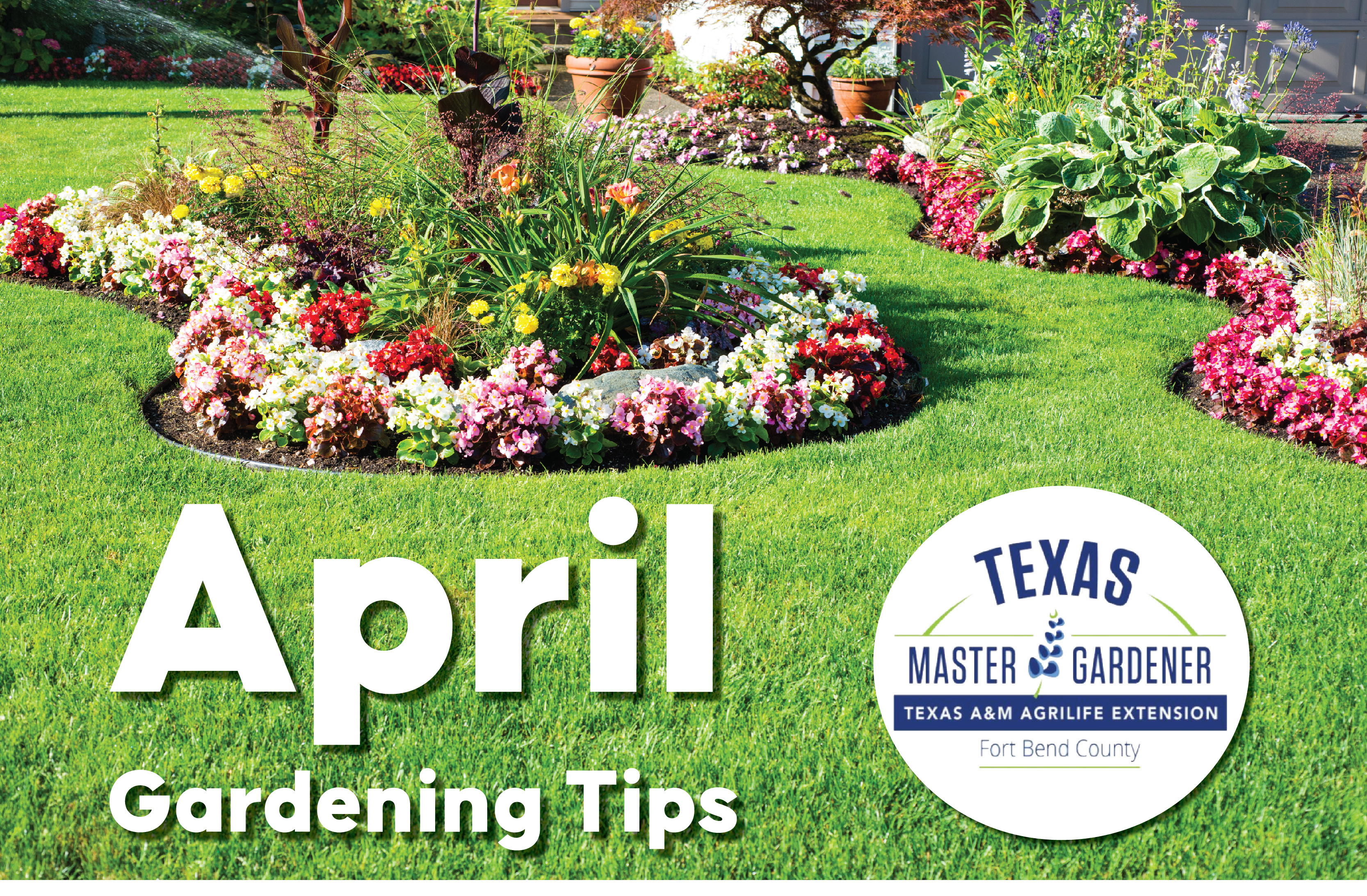 April Gardening Tips from Fort Bend County Master Gardeners: What to Plant, Prune, and Prepare for a Thriving Garden