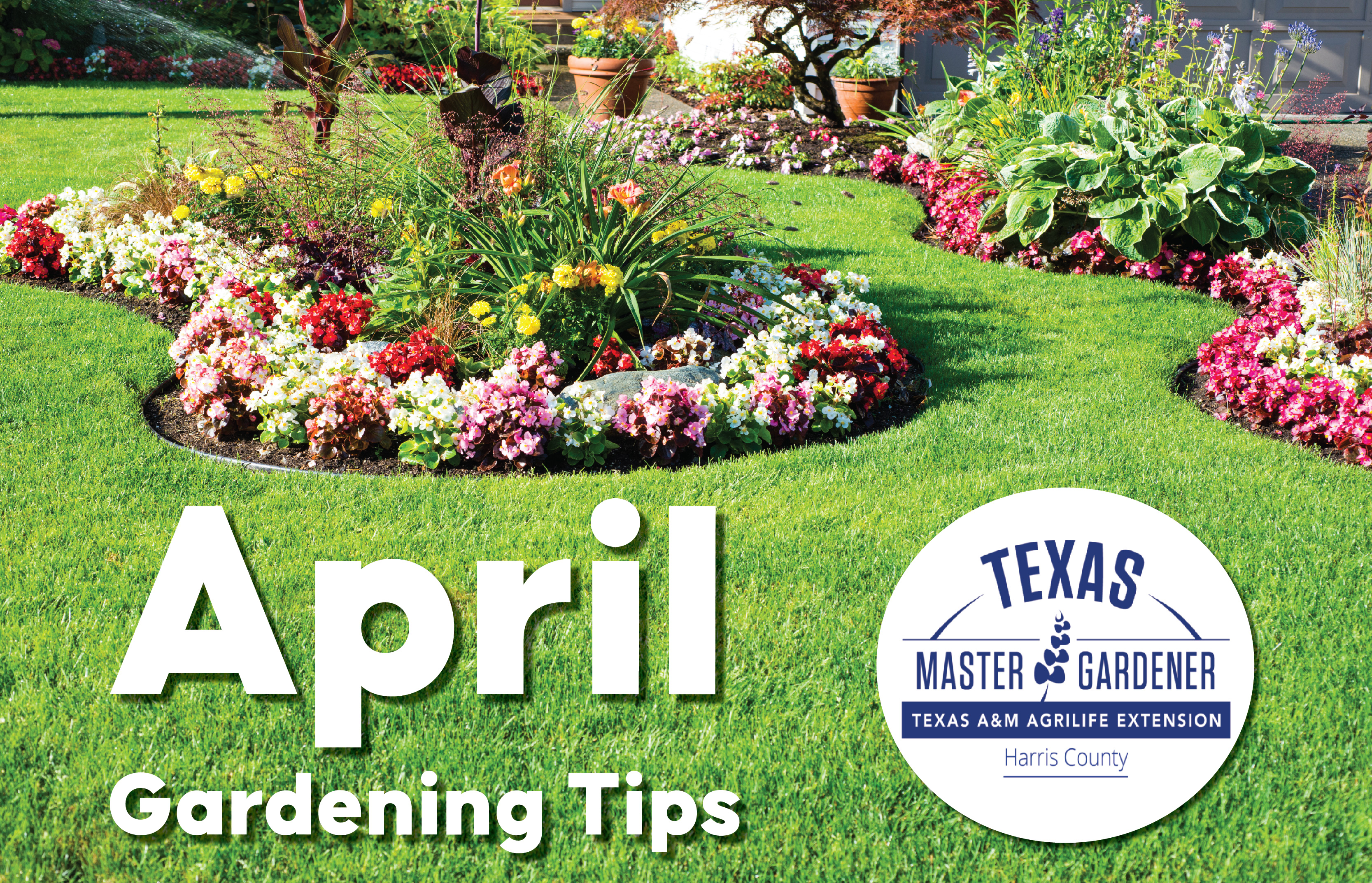 April Gardening Tips from Harris County Master Gardeners: What to Plant, Prune, and Prepare Now for a Healthy Spring Garden