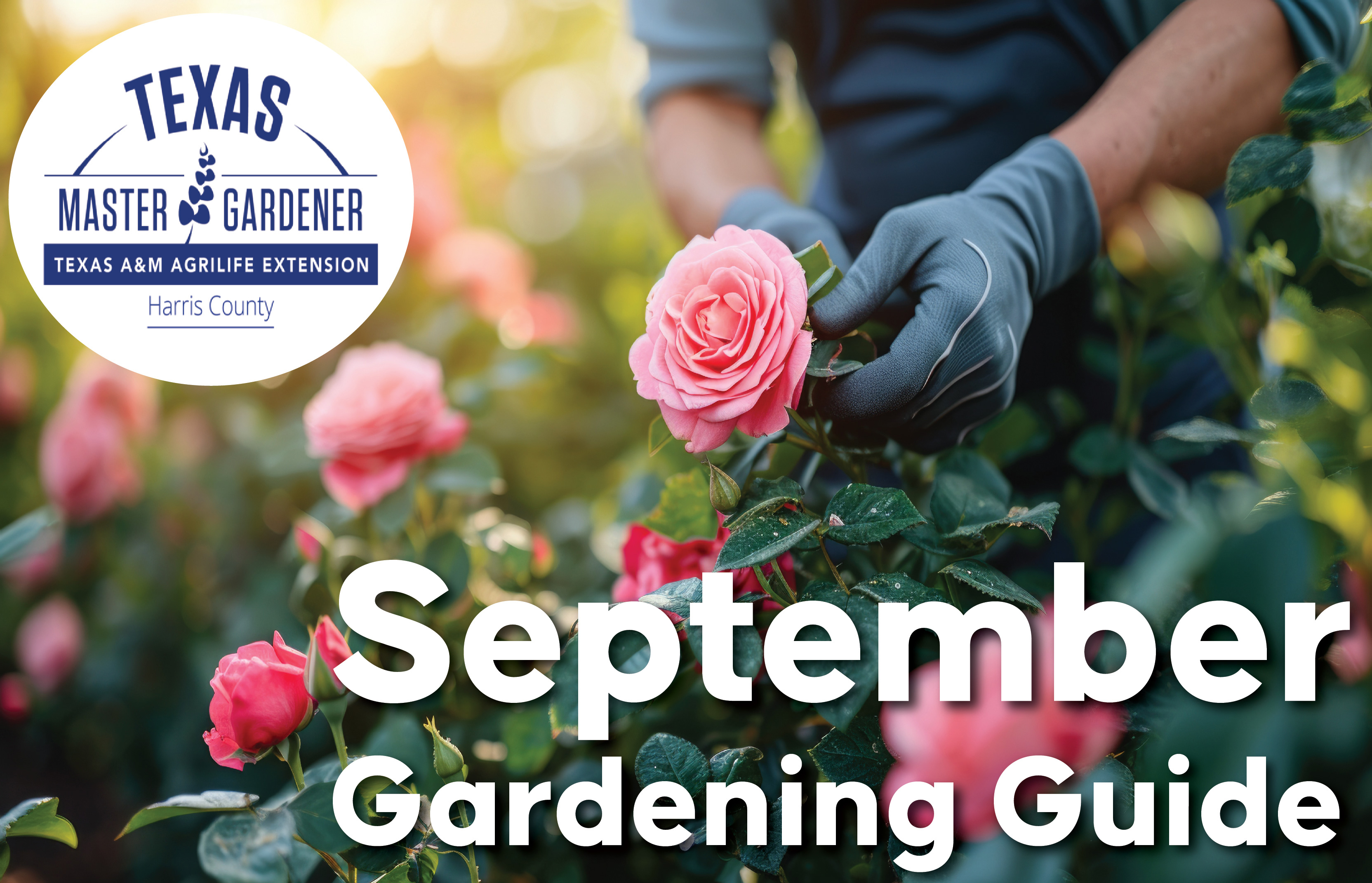 Green Thumbs Up: Harris County Master Gardener Shares Secrets for Thriving Gardens in September