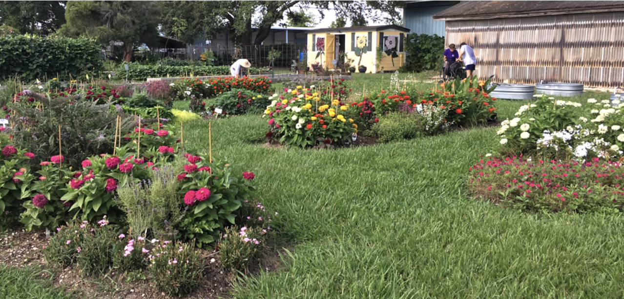 Harris County Master Gardeners Announces April Events