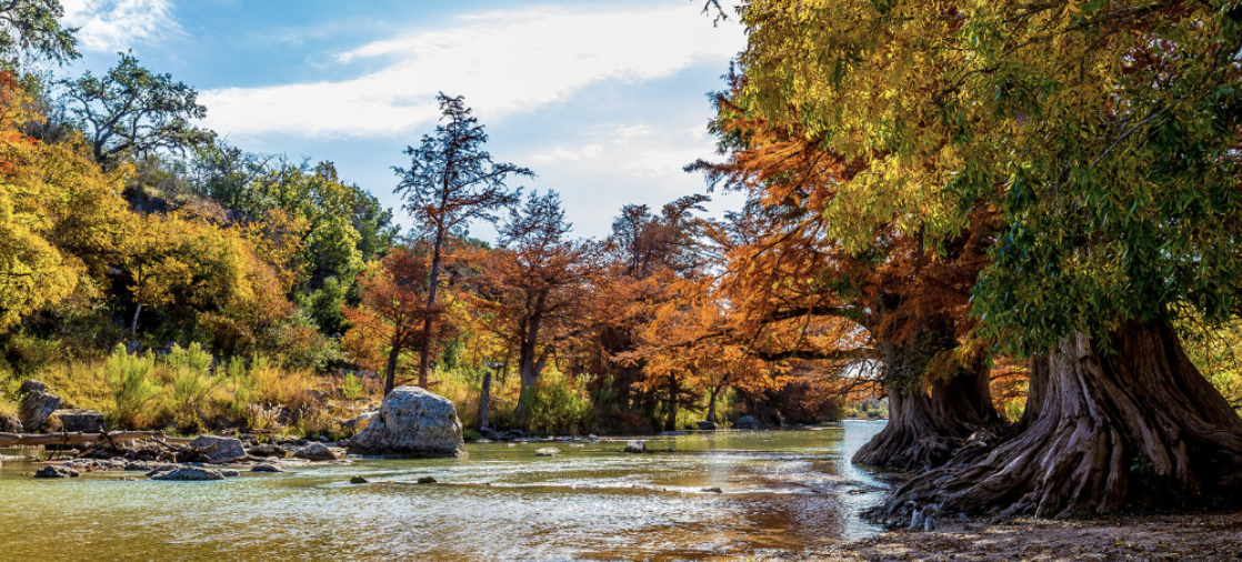 Where to Find the Fleeting Fall Color
