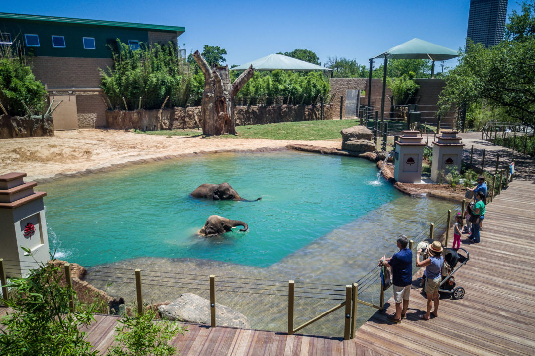 National Zoo Lovers Day