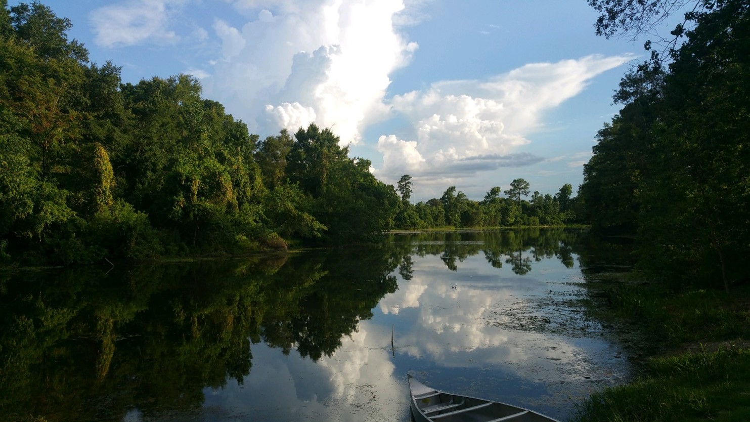 Kickerillo-Mischer Preserve: Learn to Paddle Close to Home