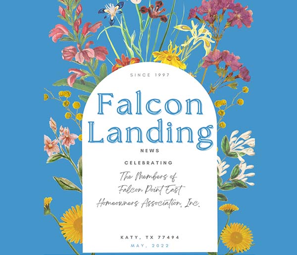 Falcon Landing
