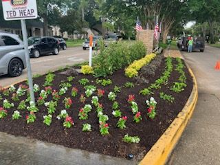Transformative Landscape Enhancements Bring New Life to Kingsland Boulevard in Nottingham Country