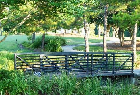 Embrace Nature: Enjoying the Outdoors in Seven Meadows