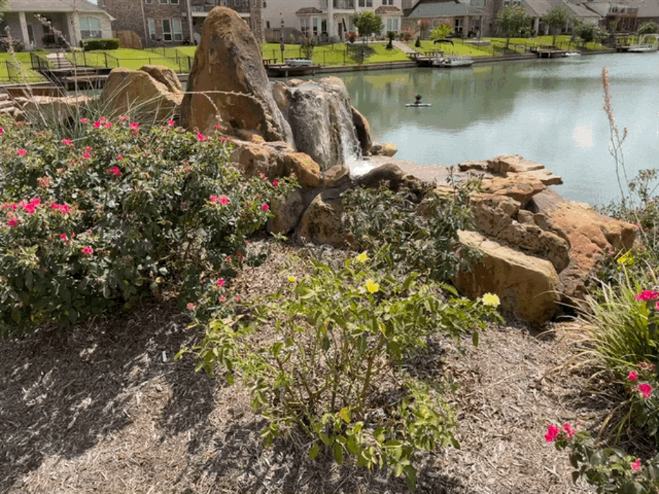 The Well in Sydney Harbour